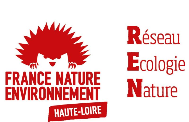 France Nature Environnement vous propose cet article dans le cadre d'une entente avec Bonjour MARCEL